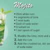 Mojito cocktail serving suggestion